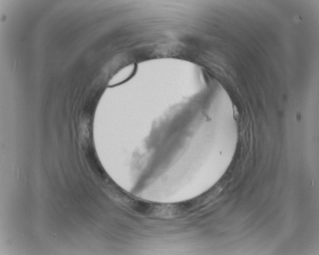 X0000064040127200602242330