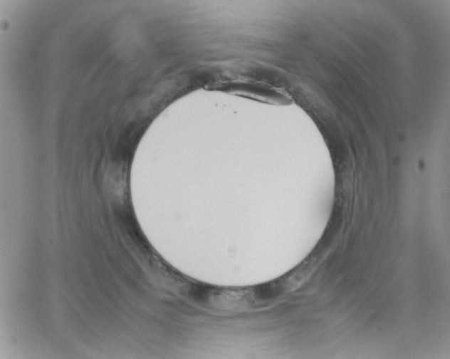 X0000064040129200602242330