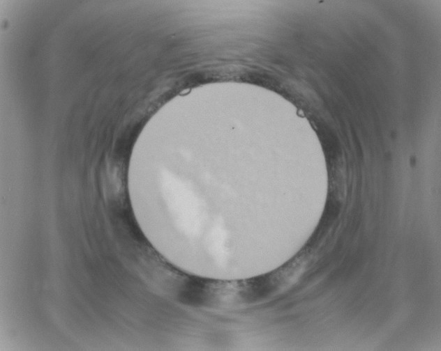 X0000064040131200602242330