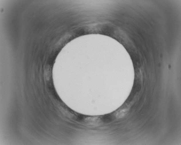 X0000064040133200602242330