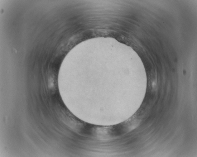 X0000064040134200602242330