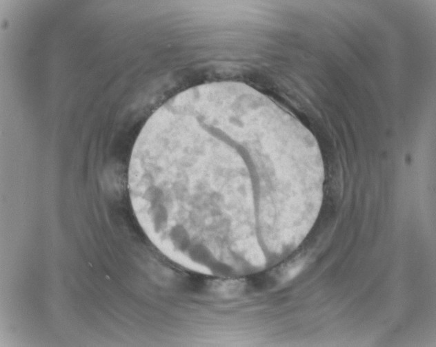 X0000064040135200602242330