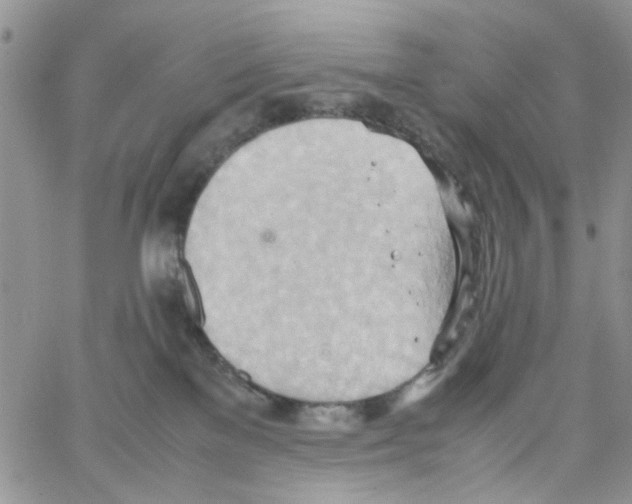 X0000064040137200602242330