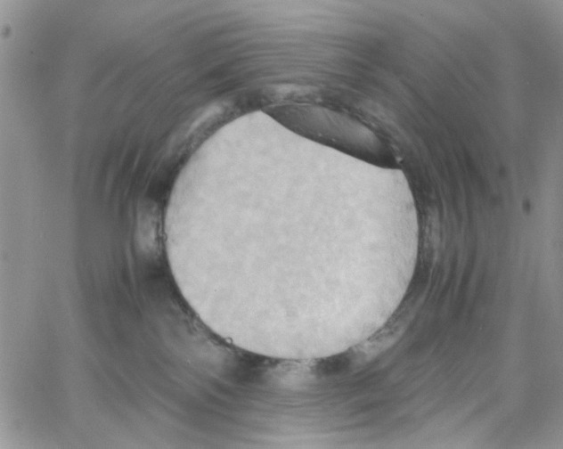 X0000064040138200602242330