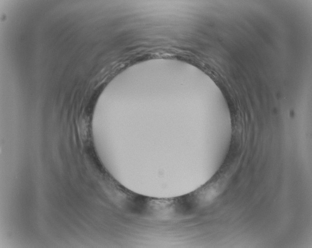 X0000064040139200602242330