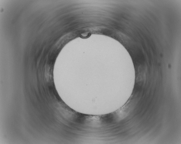 X0000064040140200602242330