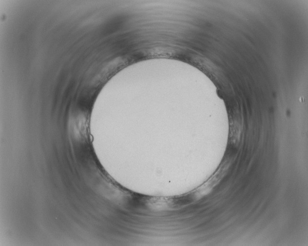 X0000064040142200602242330