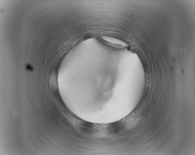 X0000064040143200602242330