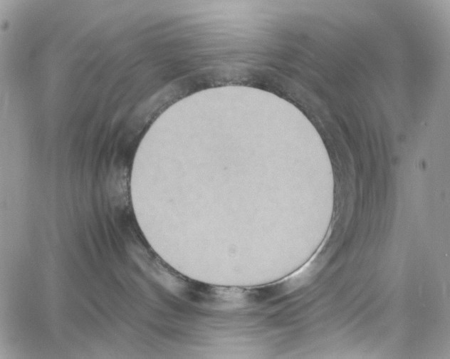 X0000064040144200602242330