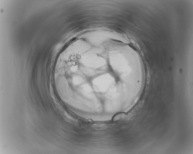 X0000064040145200602242329