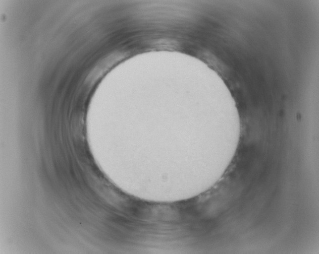 X0000064040146200602242329