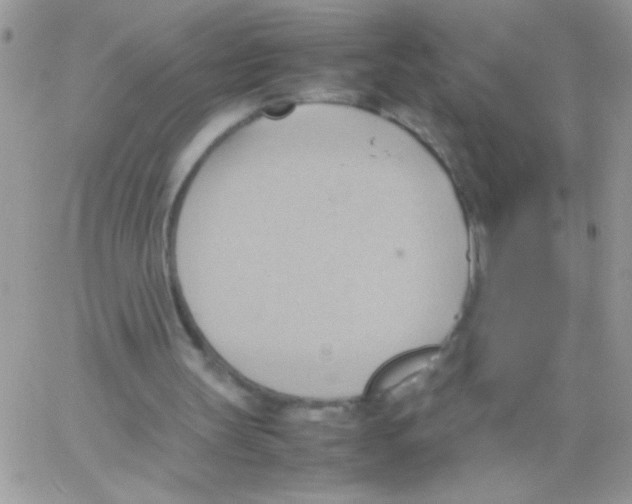 X0000064040147200602242329