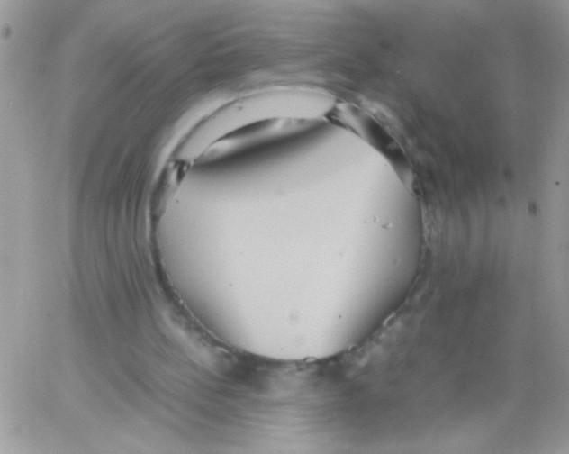 X0000064040148200602242329