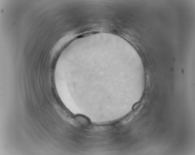 X0000064040149200602242329