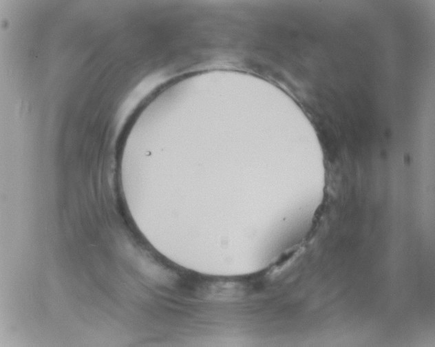 X0000064040152200602242329