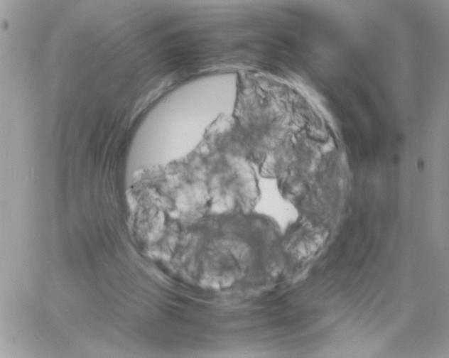 X0000064040153200602242329