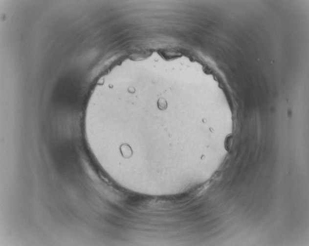 X0000064040154200602242329