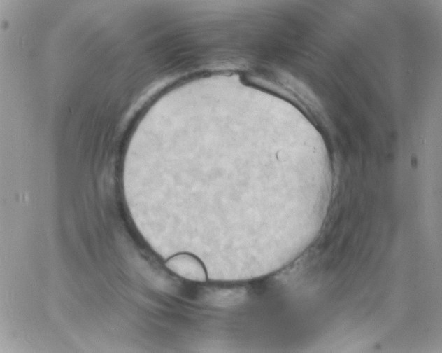 X0000064040155200602242329