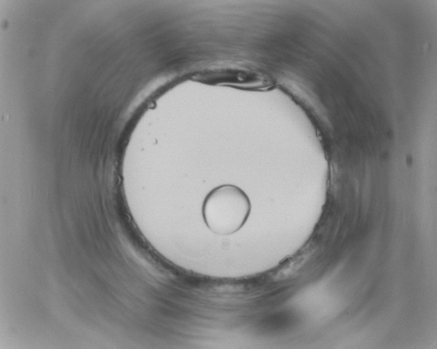 X0000064040156200602242329