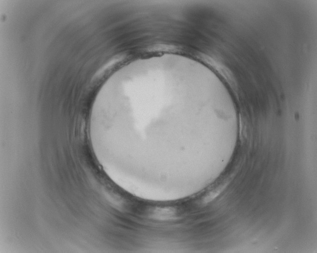 X0000064040157200602242329