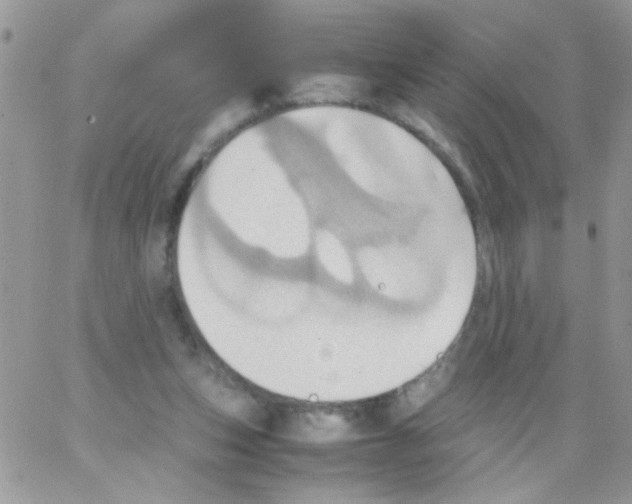 X0000064040159200602242329