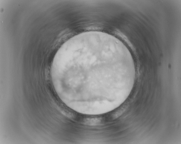 X0000064040161200602242329