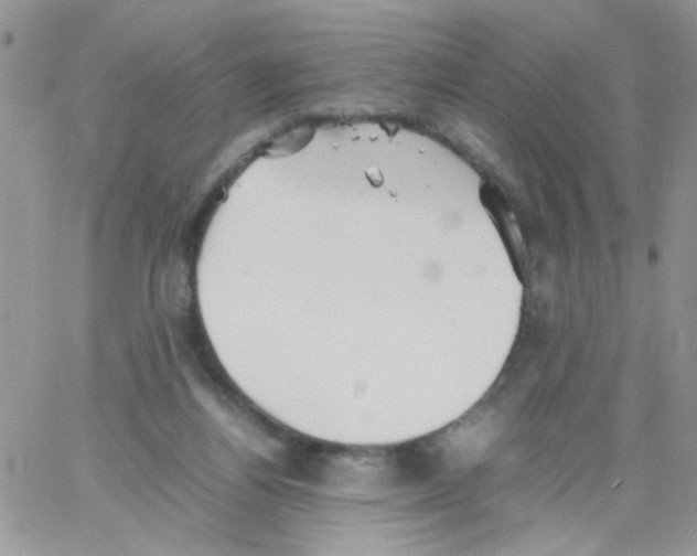 X0000064040164200602242329