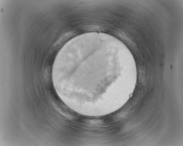 X0000064040165200602242329