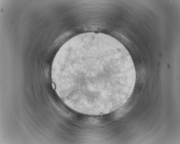 X0000064040166200602242329