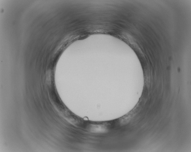 X0000064040167200602242329