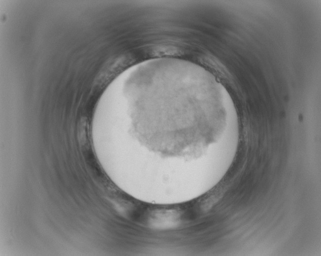 X0000064040169200602242329