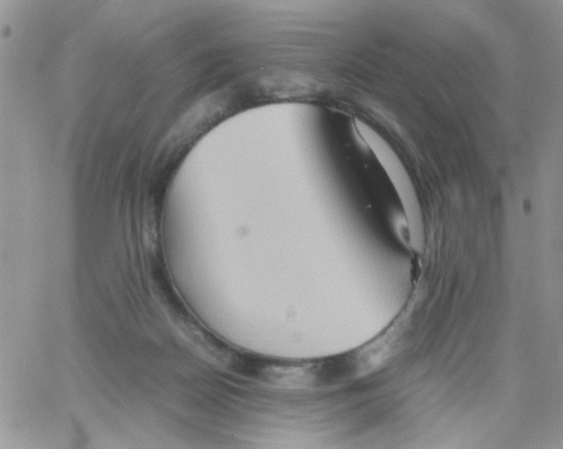 X0000064040170200602242329