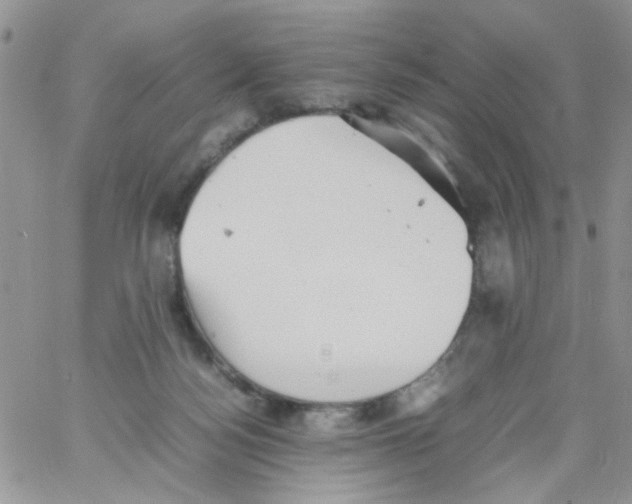 X0000064040172200602242329