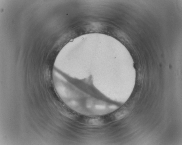 X0000064040173200602242329