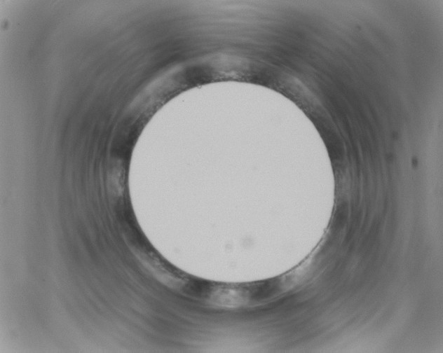 X0000064040174200602242329