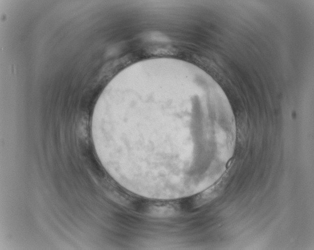 X0000064040175200602242329