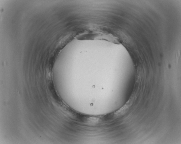 X0000064040176200602242329