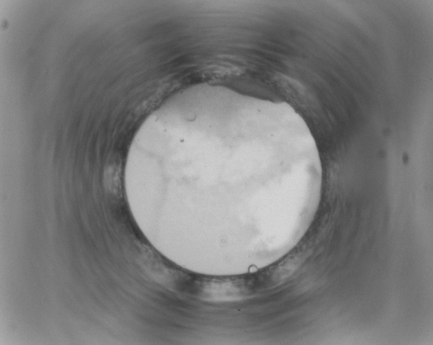 X0000064040177200602242329