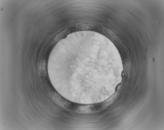 X0000064040178200602242329