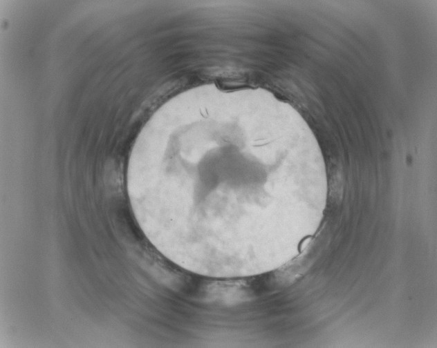 X0000064040179200602242329