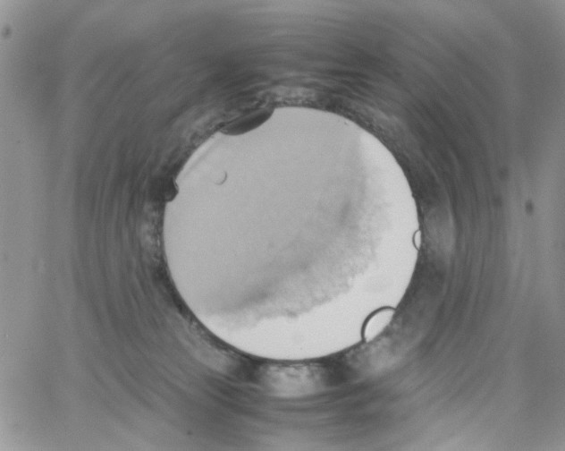 X0000064040181200602242330