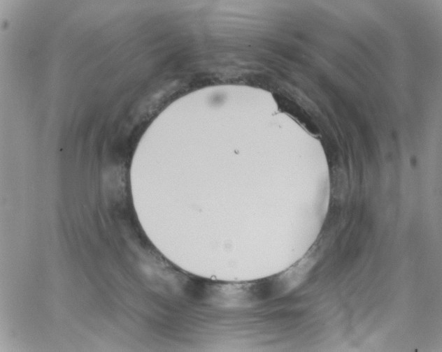 X0000064040184200602242330