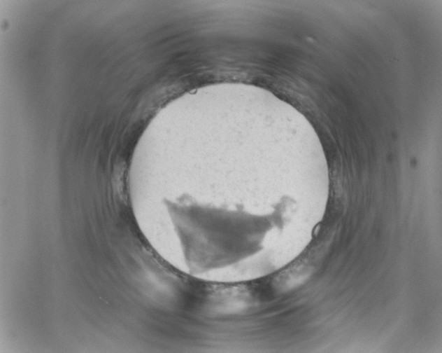 X0000064040185200602242330