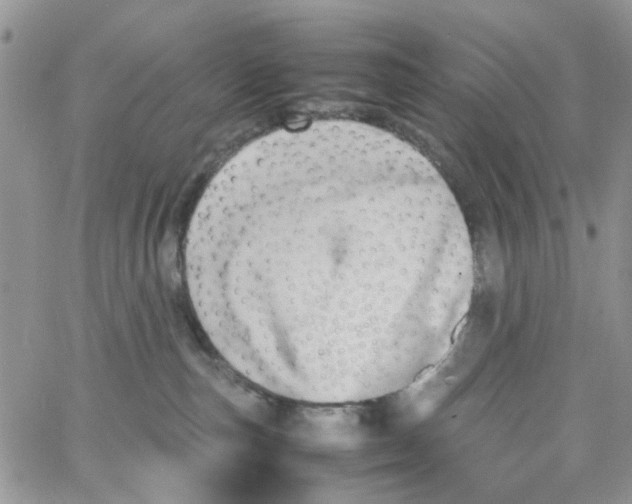 X0000064040187200602242330