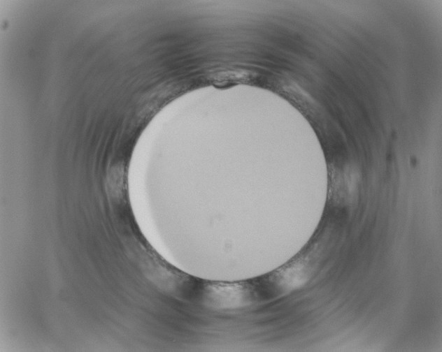 X0000064040189200602242330