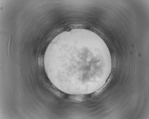 X0000064040191200602242330