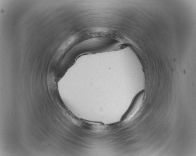 X0000064040192200602242330