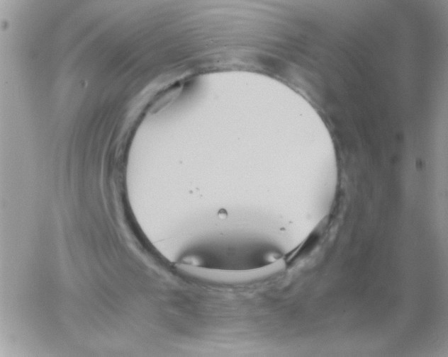 X0000064040193200602242329