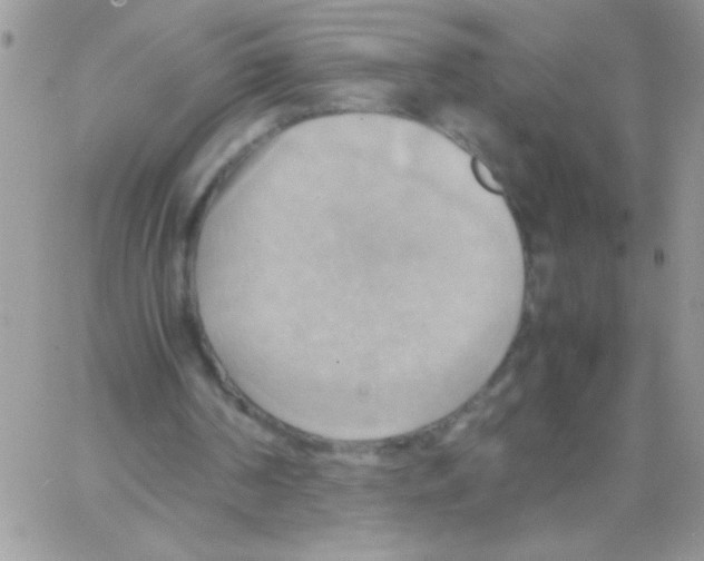 X0000064040194200602242329