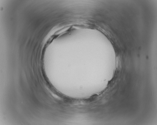 X0000064040195200602242329